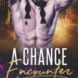 a chance encounter mia ford
