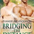 bridging the distance evangeline anderson