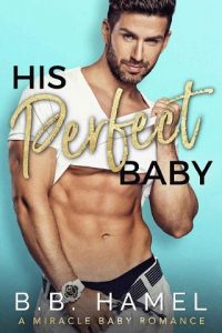 his perfect baby, bb hamel, epub, pdf, mobi, download
