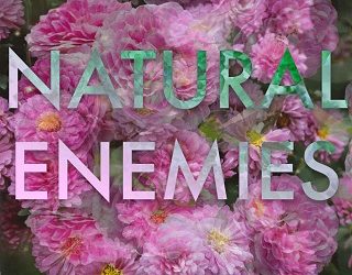 natural enemies roan parrish