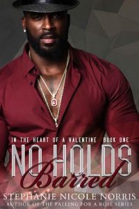 no holds barred, stephanie nicole norris, epub, pdf, mobi, download