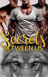 secrets between us, noah harris, epub, pdf, mobi, download