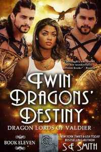 twin dragons' destiny, se smith, epub, pdf, mobi, download