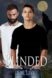 blinded, em leya, epub, pdf, mobi, download