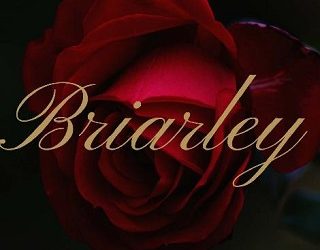 briarley aster glenn gray