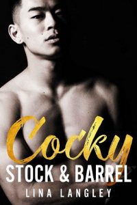 ccky stock barrel, lina langley, epub, pdf, mobi, download