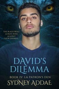 david's dilemma, sydney addae, epub, pdf, mobi, download
