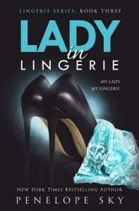 lady in lingerie, penelope sky, epub, pdf, mobi, download