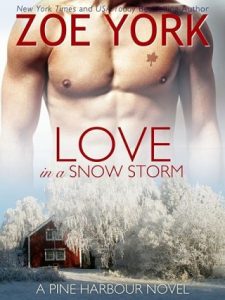 love in a snow storm, zoe york, epub, pdf, mobi, download