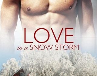 love in a snow storm zoe york