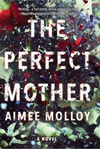 perfect mother, aimee molloy, epub, pdf, mobi, download