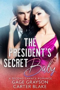 president's secret baby, gage grayson, epub, pdf, mobi, download