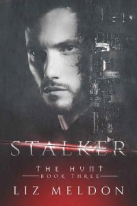 stalker, liz meldon, epub, pdf, mobi, download