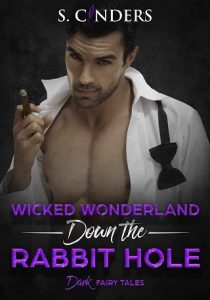 wicked wonderland, s cinders, epub, pdf, mobi, download