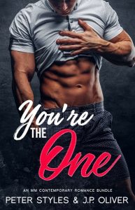 you're the one, peter styles, epub, pdf, mobi, download