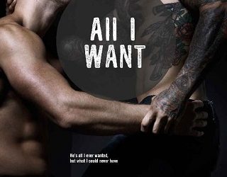 all i want megan lowe