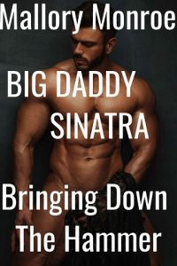 bringing down hammer, mallory monroe, epub, pdf, mobi, download