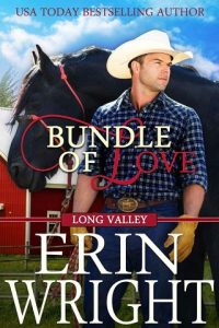 bundle of love, erin wright, epub, pdf, mobi, download