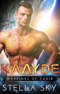 kaayde, stella sky, epub, pdf, mobi, download