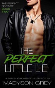 perfect little lie, madyson grey, epub, pdf, mobi, download