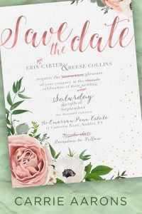 save the date, carrie aarons, epub, pdf, mobi, download