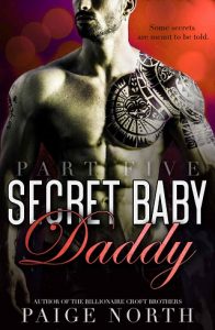 secret baby daddy, paige north, epub, pdf, mobi, download