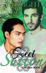 sweet sutton, jd light, epub, pdf, mobi, download