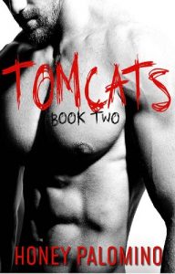 tomcats 2, honey palmino, epub, pdf, mobi, download
