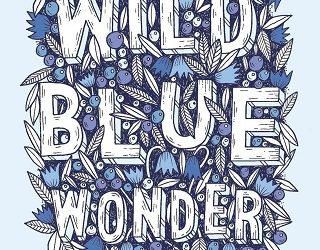 wild blue wonder carlie sorosiak