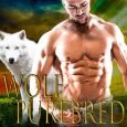 wolf purebred candace ayers