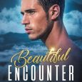 beautiful encounter lindsey hart
