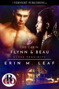 cabin, erin m leaf, epub, pdf, mobi, download