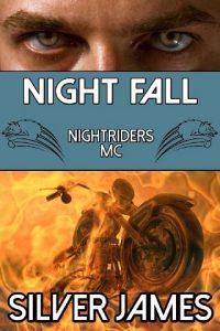 night fall, silver james, epub, pdf, mobi, download