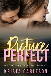 picture perfect, krista carleson, epub, pdf, mobi, download