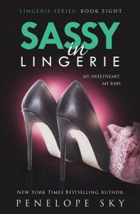 sassy in lingerie, penelope sky, epub, pdf, mobi, download