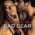 sheltered bad bear morgan rae