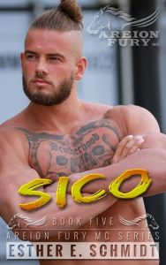 sico, esther e schmidt, epub, pdf, mobi, download