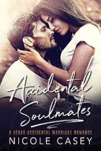 accidental soulmates, nicole casey, epub, pdf, mobi, download