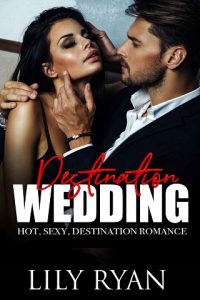 destination wedding, lily ryan, epub, pdf, mobi, download