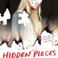 hidden pieces paula stokes
