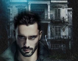 hybrid reset shannon west