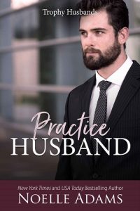 practice husband, noelle adams, epub, pdf, mobi, download