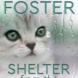 shelter from storm lori foster