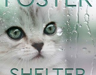 shelter from storm lori foster