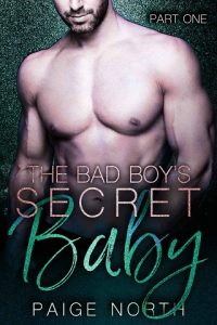 bad boys secret, paige north, epub, pdf, mobi, download