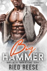 big hammer, ried reese, epub, pdf, mobi, download