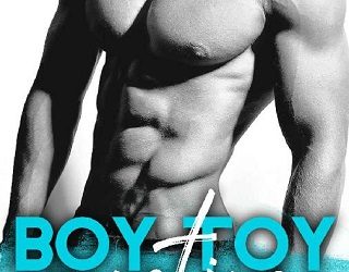 boy toy auction ca harms