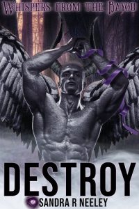 destroy, sandra r neeley, epub, pdf, mobi, download