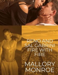 fire with fire, mallory monroe, epub, pdf, mobi, download