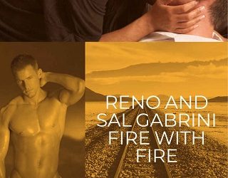 fire with fire mallory monroe